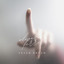 Fever Dream artwork