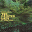 Emancipator - The Painted Lady (Feat. Kishi Bashi)