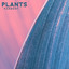 Plants Harmony: Violin Music for Plants with Sea Sounds for The Best Stimulation for Plant Growth & Happiness cover