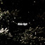 Winter Night cover