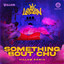 Something Bout Chu - Remix artwork