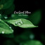 Our Quiet Place cover