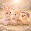 Luna's wereld - Bunnies in the clover