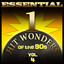 Essential One-Hit Wonders of the 90s-Vol.4 cover