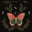 Butterfly Effect - MI.LA Extended Remix