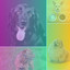 Tenor Sax Jazz - Background for Calming Pups cover