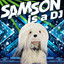 Samson & Gert - Samson is a DJ