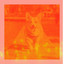 Music for Well Behaved Puppies cover