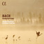 Flute Sonata in E Major, BWV 1035: II. Allegro