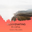 Rejuvenating Peaceful Ocean Melodies cover