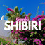 SHIBIRI