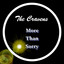 More Than Sorry cover