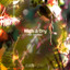 Lacchesi — Overhead, the Albatross cover art