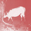 Woodall 0224 - Simo Cell Remix