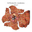 Fatoumata Diawara - Fala