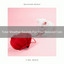 Total Weather Sounds For Your Beloved Cats cover