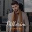 Dilbərim 2 cover