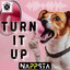 Turn It Up - Extended Mix