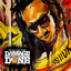Damage Is Done 2 cover