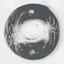 OMNIVERSE