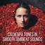 Calm Spa Tones in Smooth Ambient Sounds cover