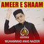 Husool E Deen Ki Khatir cover