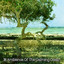 ! ! ! ! 38 Ambience Of The Calming Ocean ! ! ! ! cover