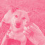 Background Music for Family Puppy cover