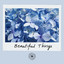 Beautiful Things