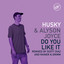 Do you like it (ft. Alyson Joyce) (Scott Diaz Funk Excursion) Husky