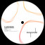Nick Neiman — Ranked (Original Mix) cover art