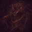 Queen of the Worms profile