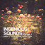 Barum - Gorge Remix