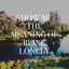 Show Me the Meaning of Being Lonely cover