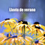 Lluvia de verano cover