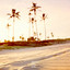 SAND HILLS CASINO - OASIS BAR & GRILL GOLD CLUB {<DAI>}