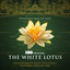 Enlightenment (Main Title Theme) - from "The White Lotus: Season 3" - Cristobal Tapia De Veer