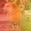 Pulsating Bgm for Happy Pups cover