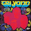Tri Yann - Hirvoudou (1973)
