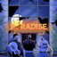 Major Dreamer - Paradise