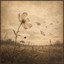 Thoughts - Valerio Luce