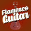 Flamenco Guitar cover
