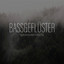 BASSGEFLÜSTER cover