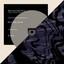 Metacentric - Graumann Remix