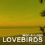 Mar-A-Lago Sunset Theme