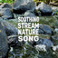 Soothing Stream Nature Song cover