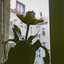 Unknown Title cover