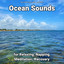 Ocean Sounds for Relaxing, Napping, Meditation, Recovery cover