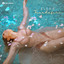 Trandafiri cover