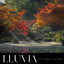 Lluvia: Un Otoño Lluvioso cover